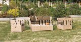 Garden Sofa Set (LN-013)