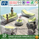 Garden Outdoor Furniture Sofa Set PE Rattan Sofa (TG-015)