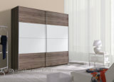 Modern Home Furniture Bedroom Wardrobe Closet (HF-EY0811)