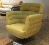 Modern Design Living Room Leisure Leather Chair (TG-DY07)