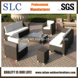 Garden Rattan Sofa/ Outdoor Rattan Sofa (SC-B6018-B)