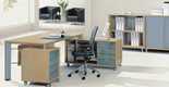 Cost Effective Panel Wood Executive Desk Office Desk (MG-035)