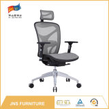 Modern Plastic Office Posture Task Chair