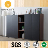 OEM Wholesale Good Selling Office Book Storage Cabinet (C18A)