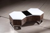 2017 High Gloss and Veneer Table European Style Functional Coffee Table (CJ-M074F)