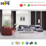 Modern Simple Design Fabric Sofa for Home Living Room (HC-R513)