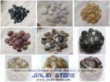 Natural Cobble Stone / River Rock Pebbles for Landscaping (JL-P01)