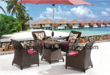 Outdoor /Rattan / Garden / Patio / Hotel Furniture Rattan Chair& Table Set (HS1629AC&HS7616DT)