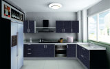 Indoor Furniture Kitchen Cabinet for Sale (ZH-9627)