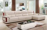 High Quality China Sofa, Home Furniture, Living Room Sofa (603)