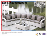 Modern Outdoor Patio Fabric Sofa Set (TG-042)