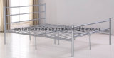 Surply Large Number of Simple Steel Metal Iron Single Bed