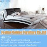 Leather Bed (2900)