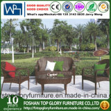 Livingroom Garden Outdoor PE Rattan Sofa with Tea Table (TG-258)