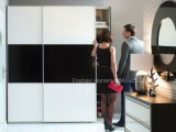 Fashion Sliding Wardrobe with 2 Shutter Doors (HF-EY080306)