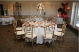 Restaurant Wedding Chair (L-7M)