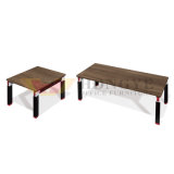 Fashion High Quality Wooden Office End Table (HY-C14.15)