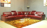 Hot Selling Leisure Leather Sofa (H3016)