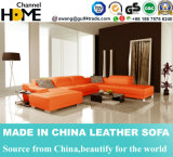 Modern Simple Genuine Leather Sofa for Home Living Room (HC1088)