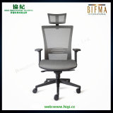 Plastic Metal Leisure Business Ergonomic Chair