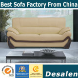 Italian Design Genuine Leather Modern Office Sofa (A006)