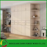 Panel Furniture Modern Style Bedroom Wardrobe