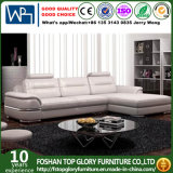 The Hot-Selling Chrome Legs Leather Sofa Furniture (TG-8030)