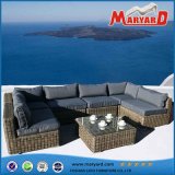 Outdoor Furniture /Garden Furniture Set /Patio Sofa Set