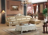 Morden Sofa Living Room Genuine Leather Sofa (SBL-9194)