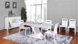 White Modern Desigen Dining Table (CT-198)