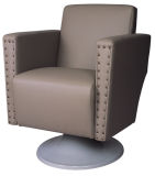 Salon Furniture Barber Chairs (DN. A6020)