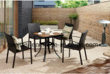 Outdoor /Rattan / Garden / Patio / Hotel Furniture Rattan Chair &Table Set (HS1232C&HS7123DT)