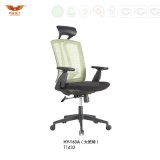 Modern Furniture Ergonomic Executive Mesh Office Chair (HY-163A)