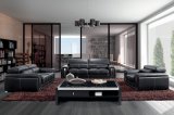 Modern Living Room Genuine Best Seller Leather Sofa (SBO-BZ-2992)