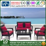 Garden Furniture Outdoor Sofa Outdoor Furniture Sofa (TG-1508)