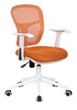 Modern Premium Office Executive or Conference Chair (PS-NL-137)