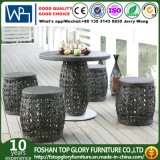 Rattan Chair Furniture Rattan Dining Table Set (TG-1661)