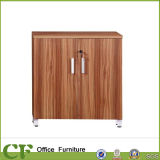 Economical Small Office Furniture Double Door Filing Cabinet