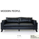 Modern Sofa for Home Furniture (8018)