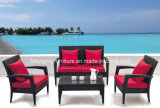 Garden Patio Wicker / Rattan Sofa Set (TG-090)