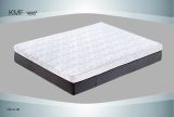 Pupular Foam Memory Foam Mattress