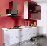 Baked Paint Kitchen Cabinet (M-L95)