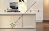 Chear Price New Design Modern PVC Kitchen Cabinets (ZS-256)