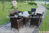 Patio Leisure Outdoor Rattan Garden Furniture Dining Furniture