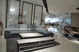 Modern Living Room Genuine Leather Sofa (SBL-9205)