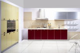 Baked Paint Kitchen Cabinet (M-L63)