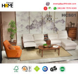 New Italian Modern Sectional Living Room Leather Sofa (HCS01)