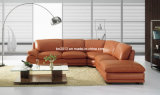 Living Room Genuine Leather Sofa (SBO-3920)