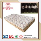 Bedroom Furniture Sleep Easy Rolled up Foam Mattress