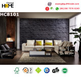 Modern Home Furniture Living Room Sofa (HC8101)